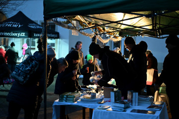 DSC_0320 - kopie.jpg