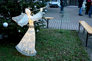 DSC_7535 - kopie.jpg