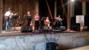 Zahradní koncert - folk a country